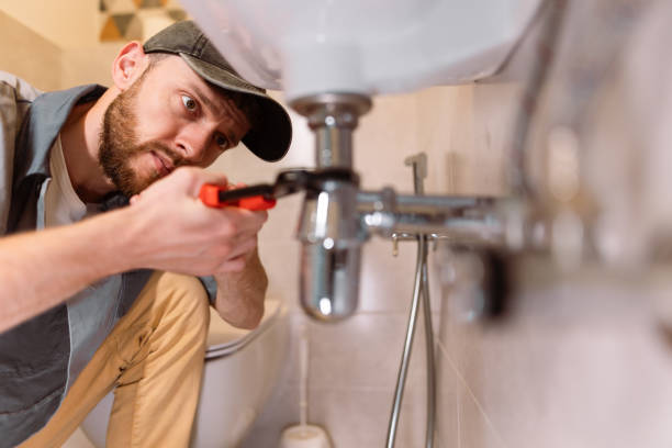 Best Affordable Plumber Near Me  in La Grulla, TX
