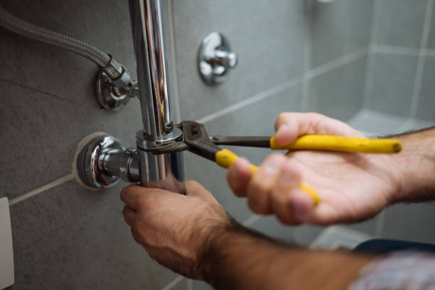 Best Commercial Plumbing Services  in La Grulla, TX