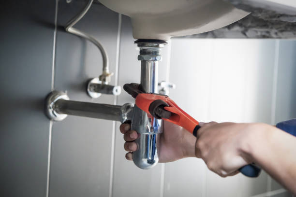 Best Affordable Plumber Near Me  in La Grulla, TX