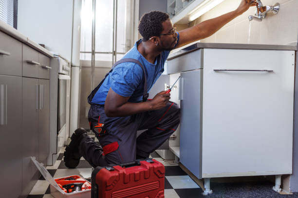 Best Local Plumber Services  in La Grulla, TX
