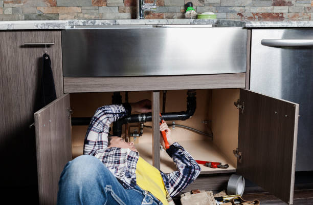Best Local Plumber Services  in La Grulla, TX
